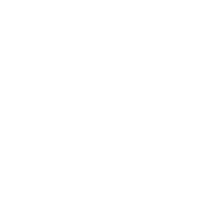 Review and Evaluation
